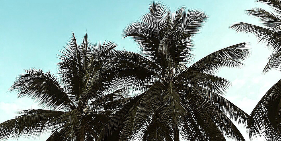 Tips para el verano