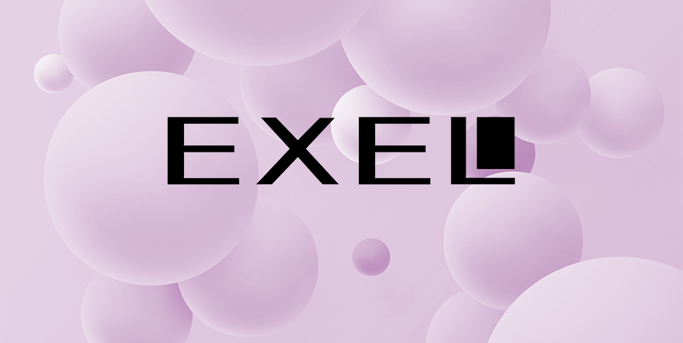 PROTOCOLO EXEL